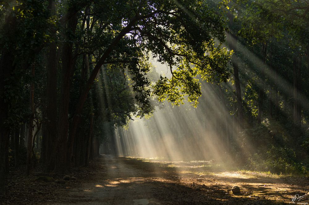 Photograph by Atul Mohan