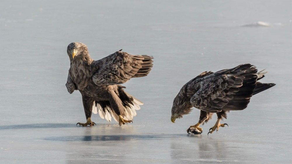 Photograph by константин