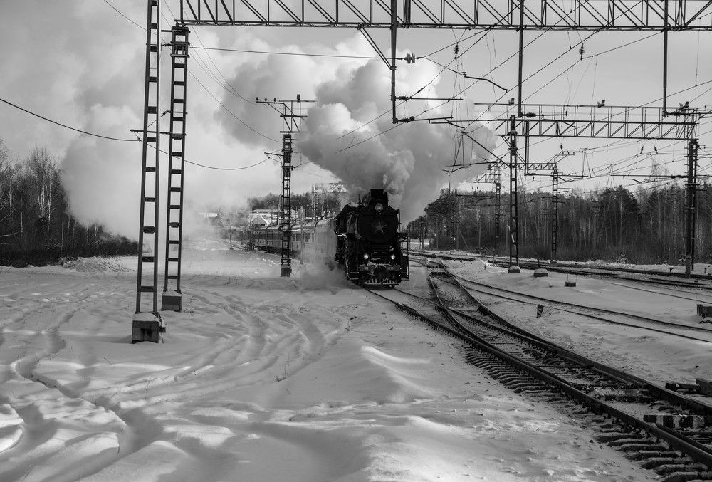 Фотография автора Сергей Чесноков