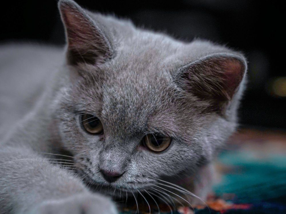 Photograph by Yustiawan