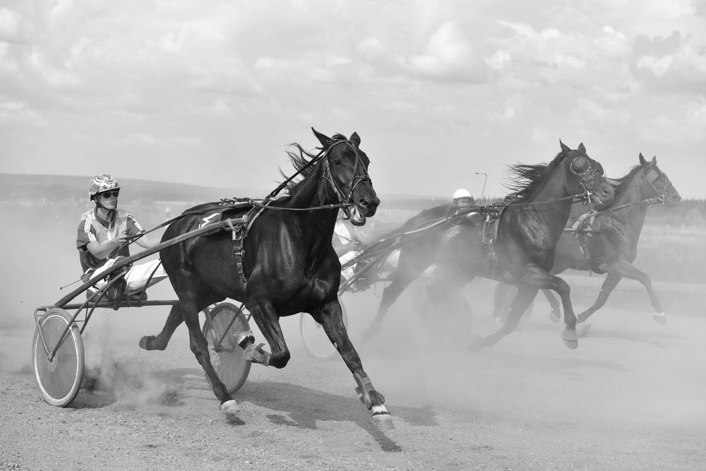 Photograph by Сергей Чесноков