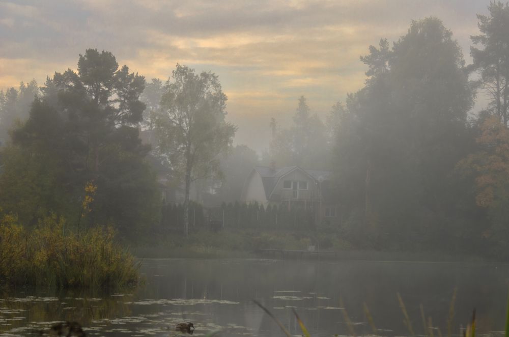 туманное утро