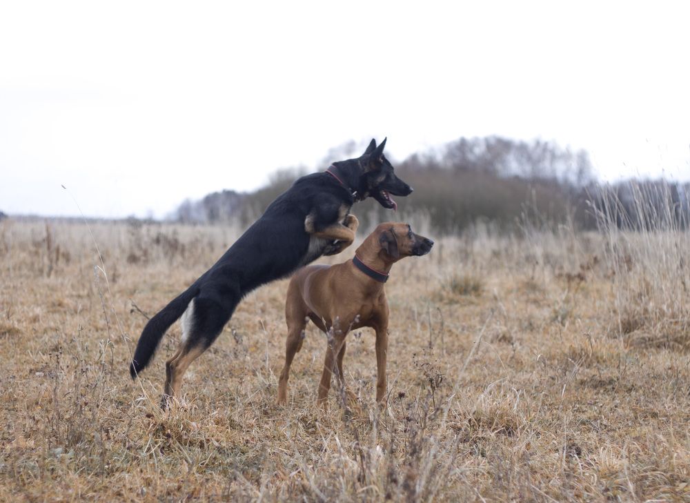 Photograph by Елена Иванова