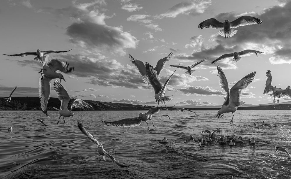 Фотография автора Рохмистрова Мария