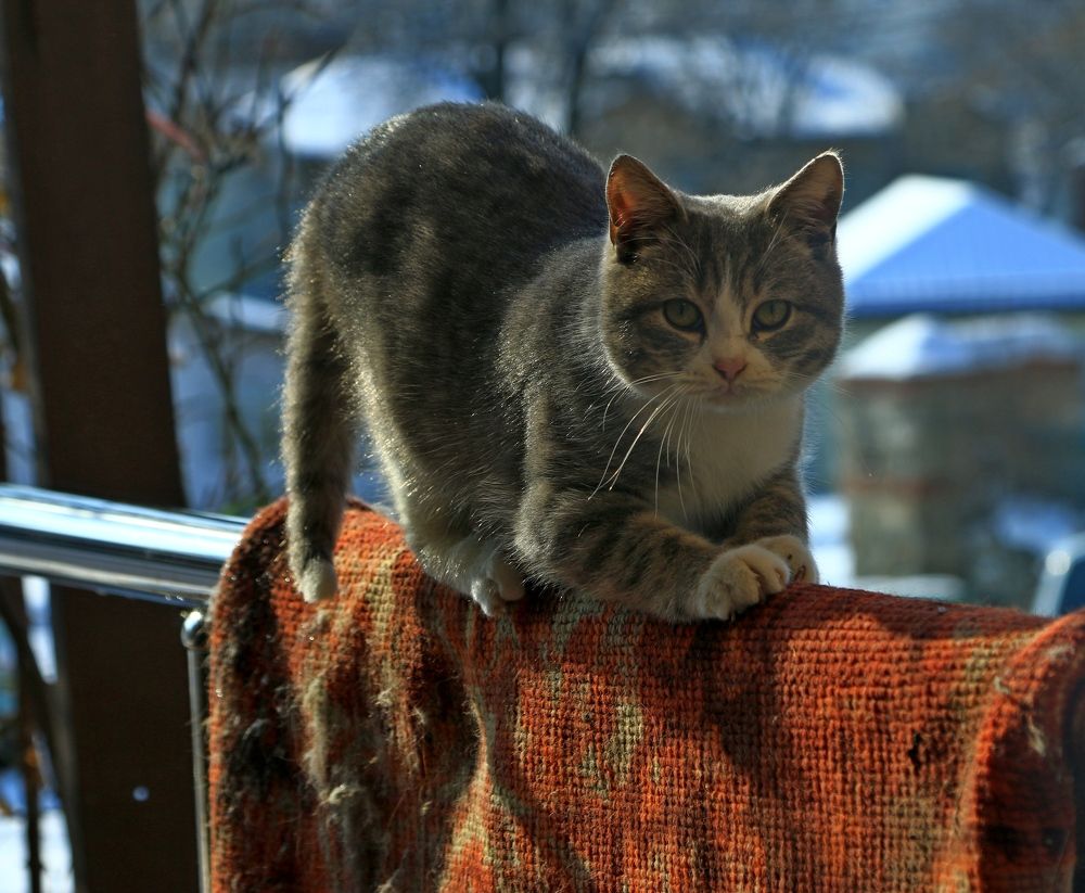 Photograph by Игорь Куленко