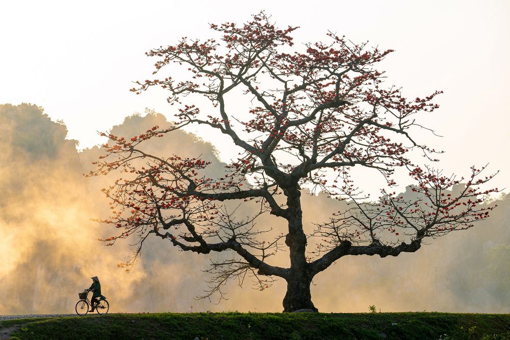 Photograph by Truong Cong Hiep