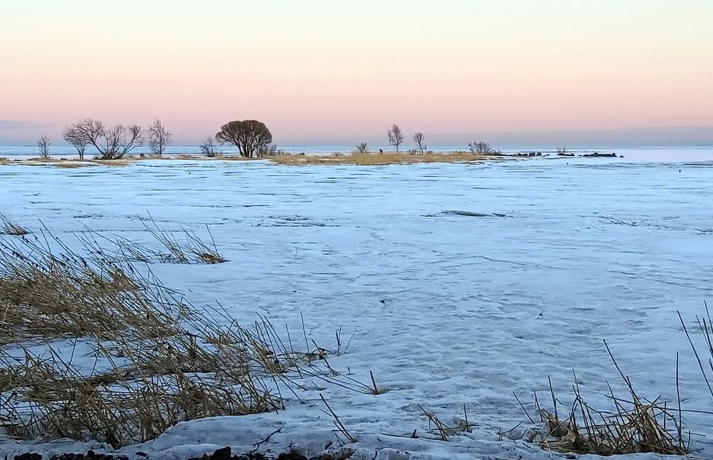 Финский залив зимой