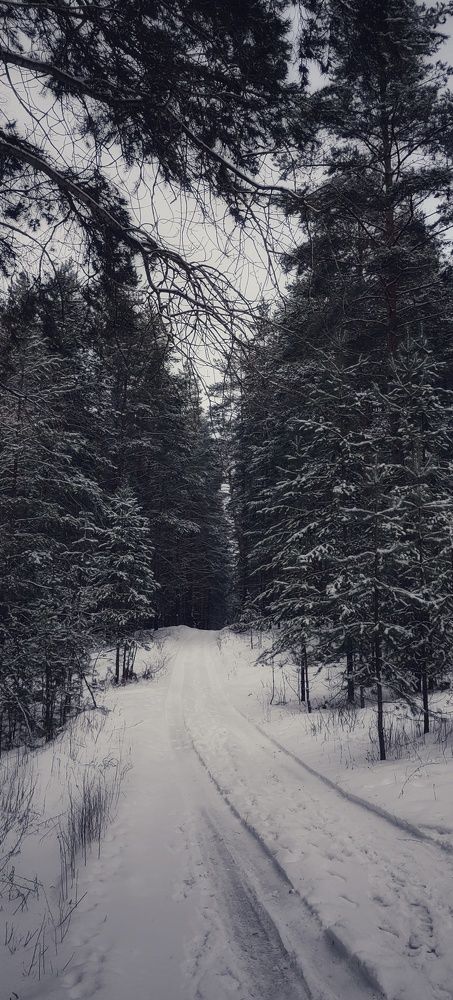 Photograph by Aleksei Bobkin