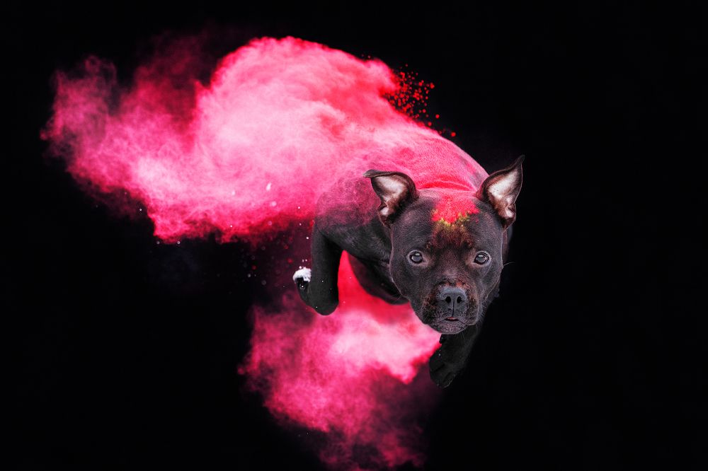 Photograph by Германика Юлия