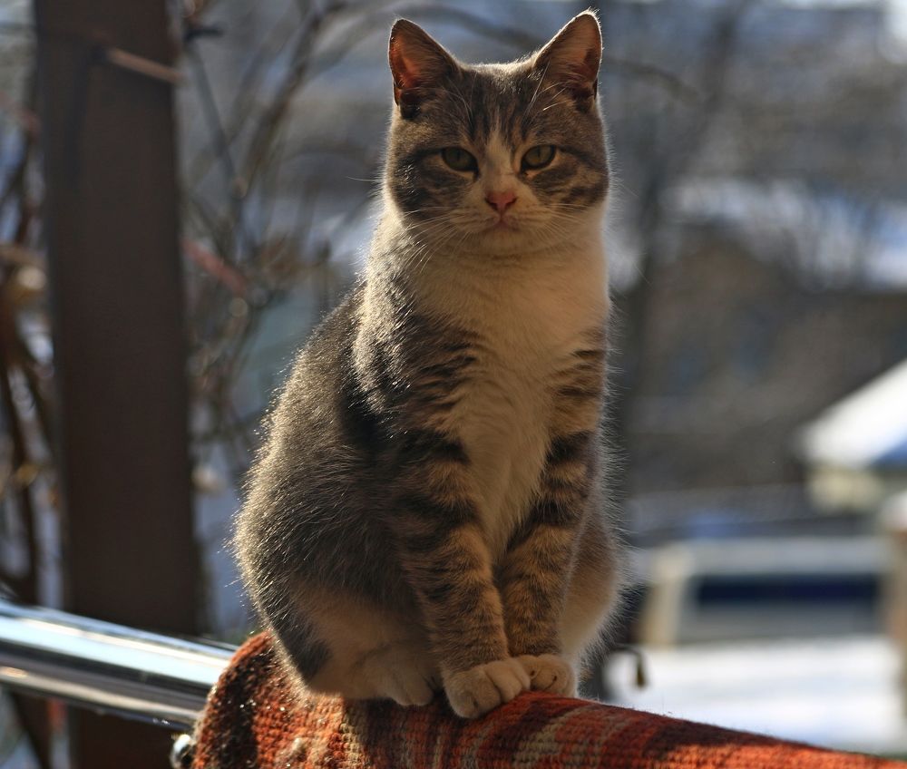 Photograph by Игорь Куленко