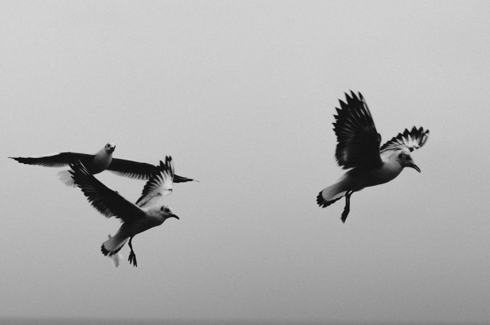 Photograph by Александр Наракшин