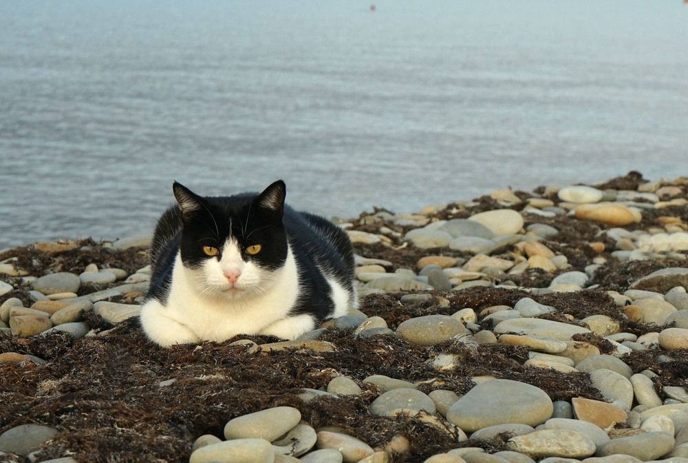 Photograph by Анастасия