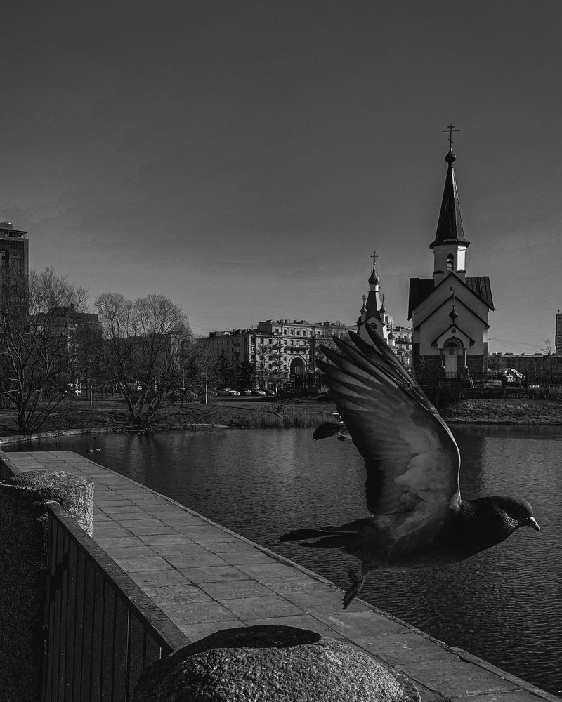 Photograph by Александр Наракшин