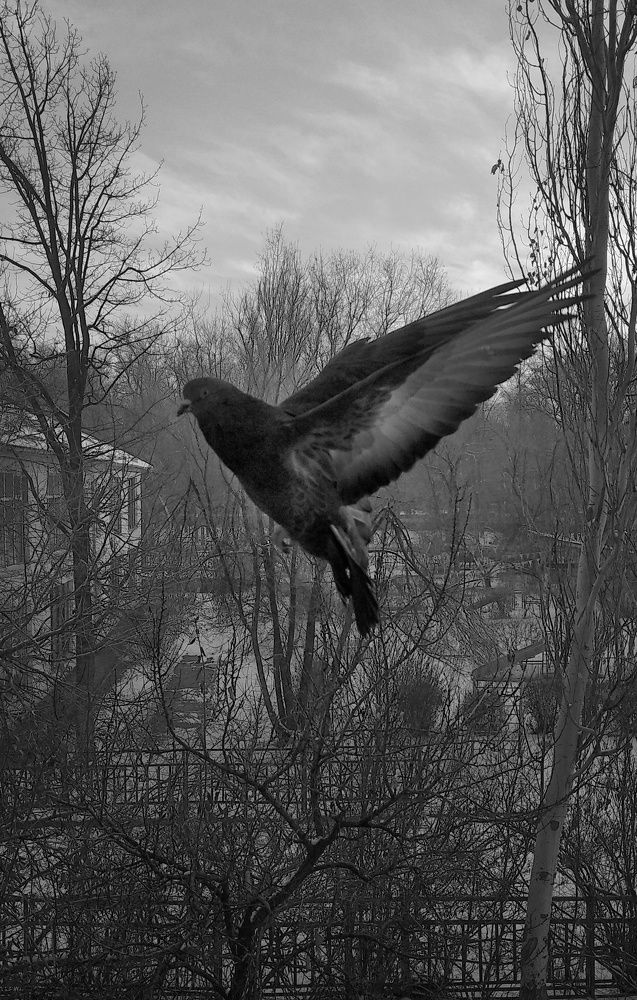 Photograph by Орынбек Асилбаев