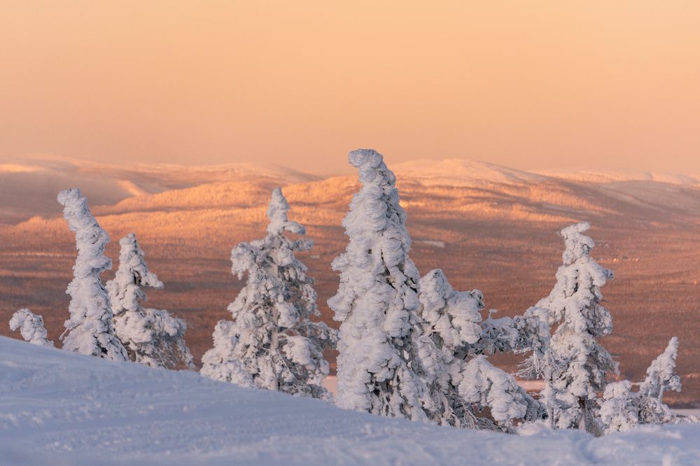 Photograph by Ирина Вершинина