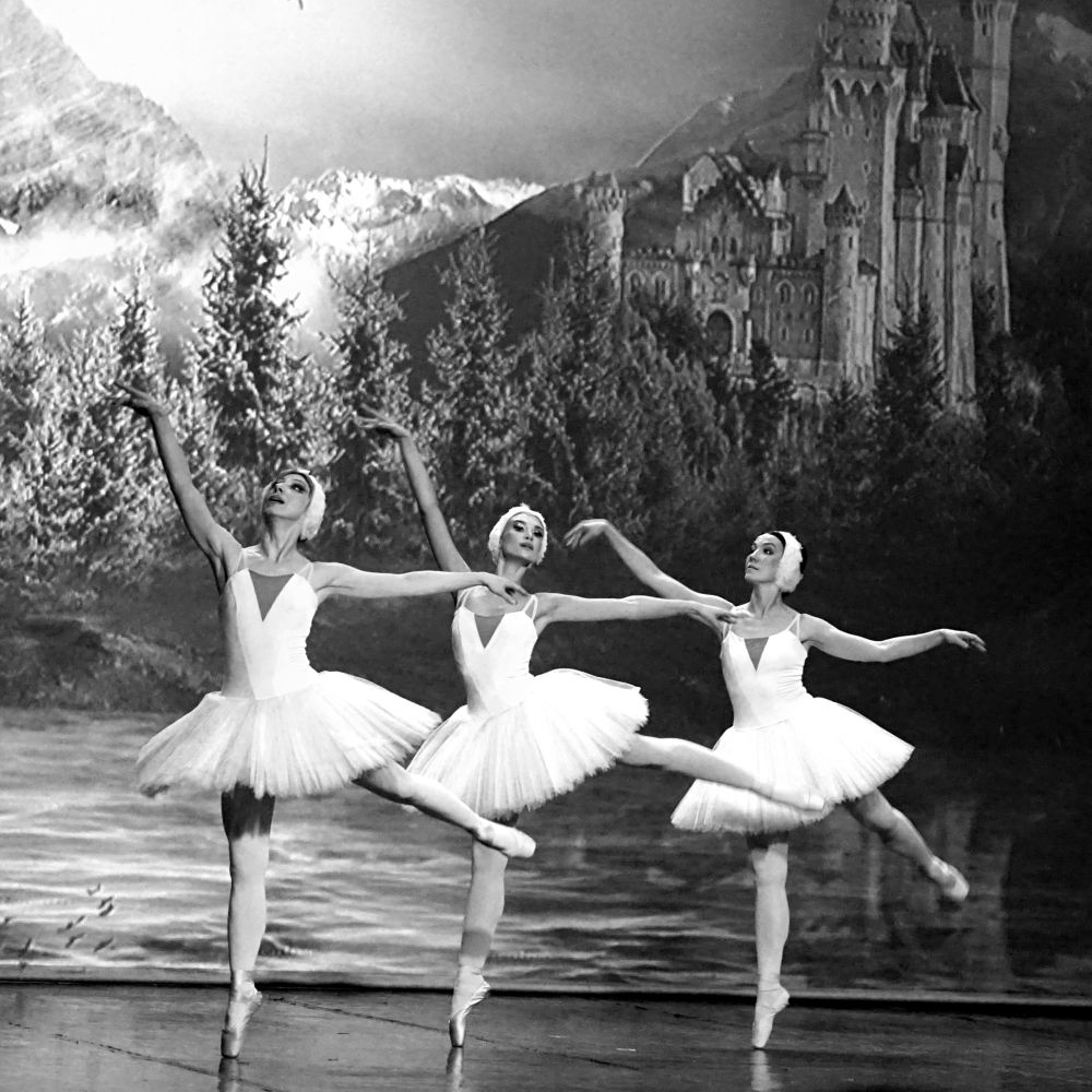 «Лебединое озеро»