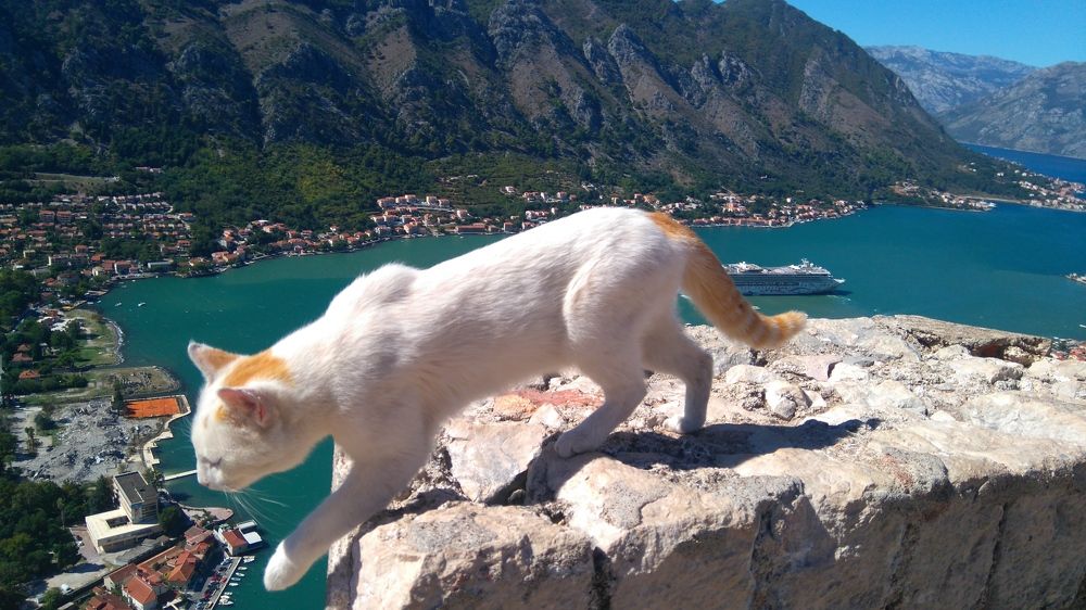 Photograph by Marina Razheva