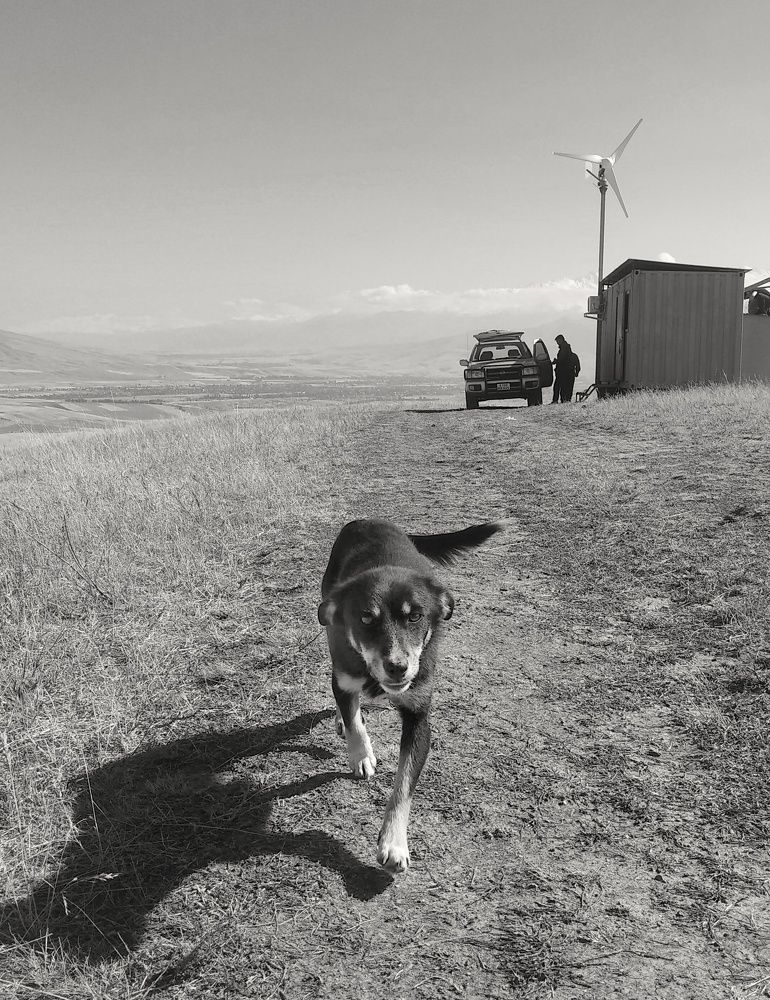 Photograph by Орынбек Асилбаев