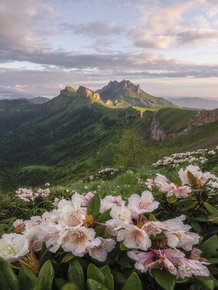 Рассвет с видом на Тхачи
