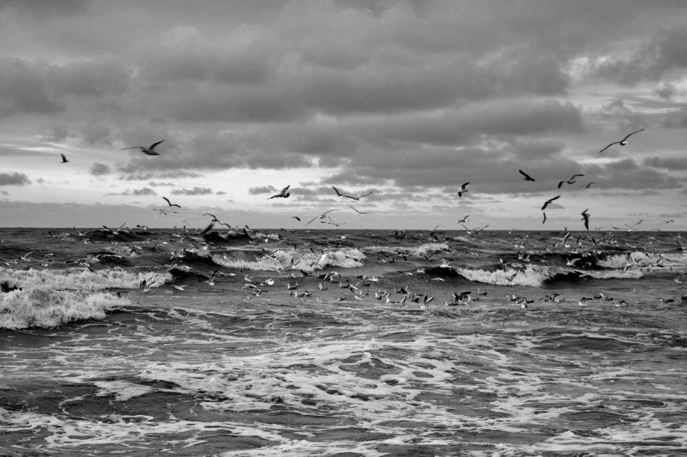 Photograph by Евгений Евдокимов