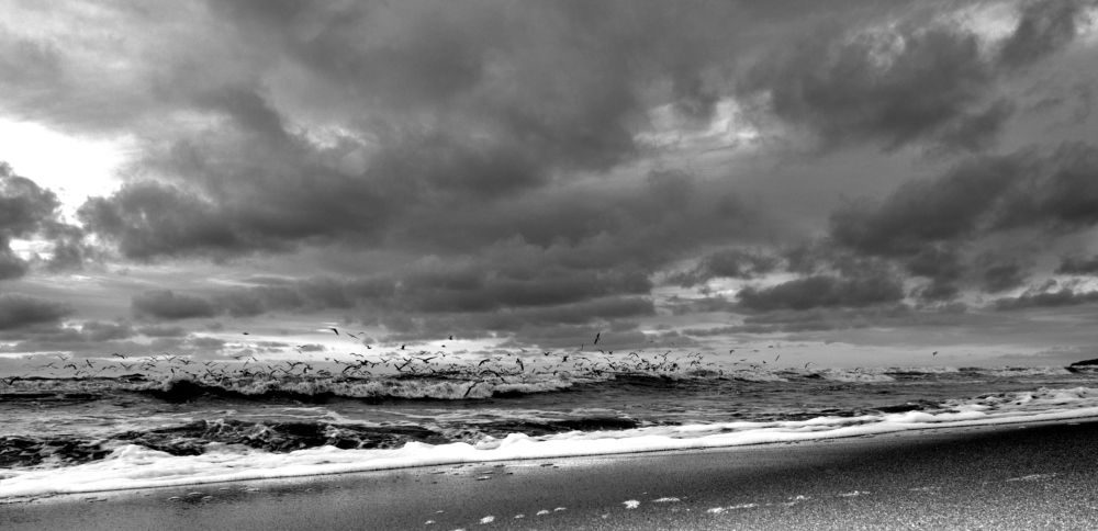 Photograph by Евгений Евдокимов