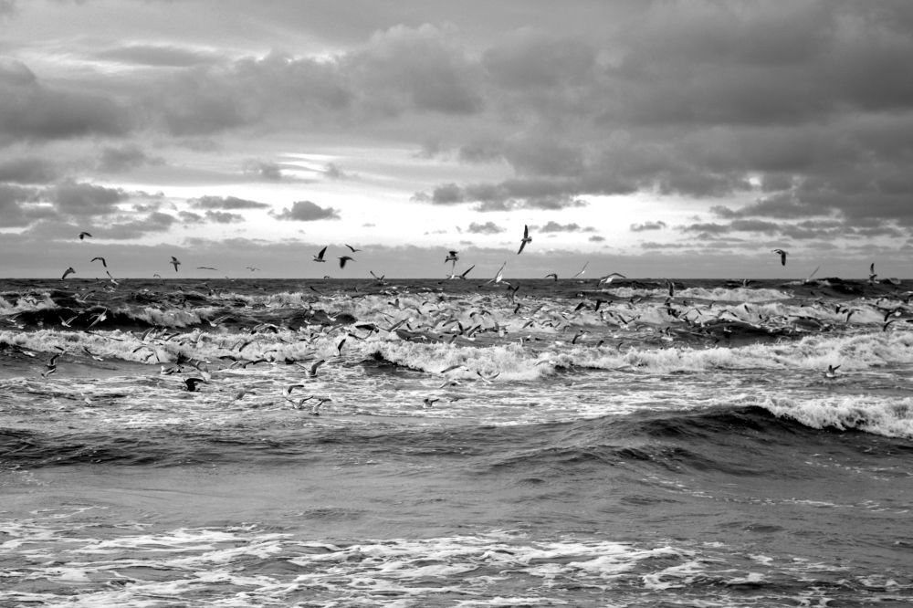 Photograph by Евгений Евдокимов