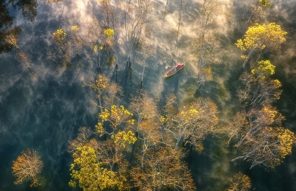 Photograph by Tuấn Nguyễn Tấn