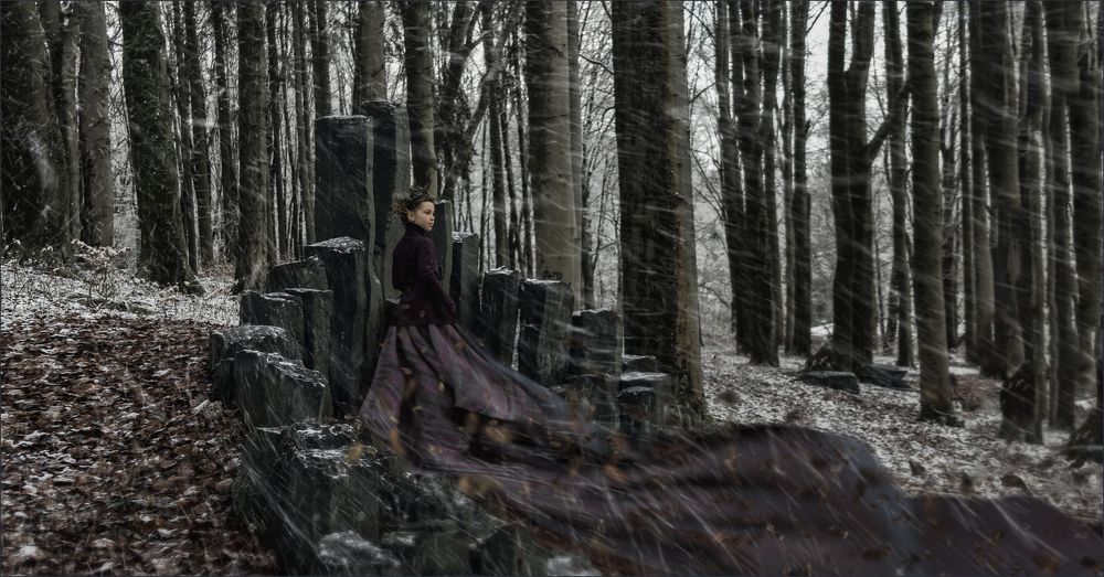 Winter Stories. December.