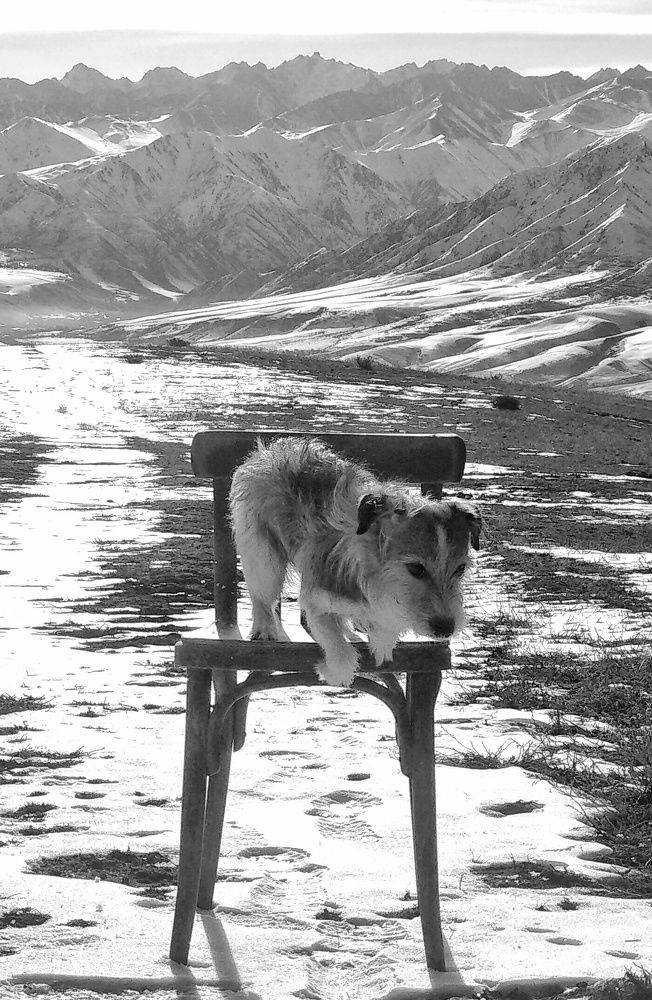 Photograph by Орынбек Асилбаев