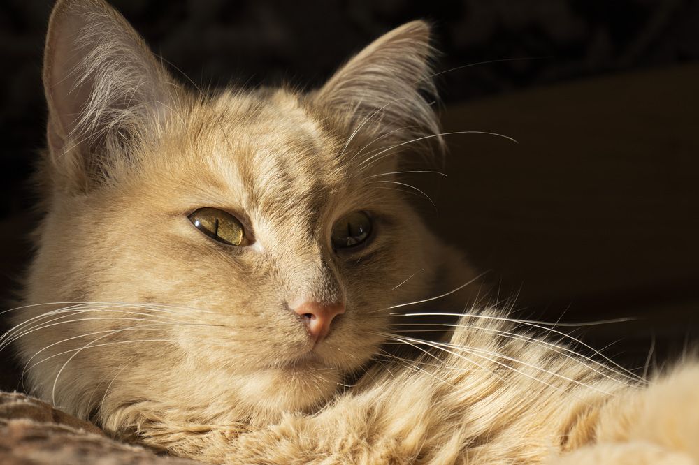 Photograph by Наталья Канарейкина