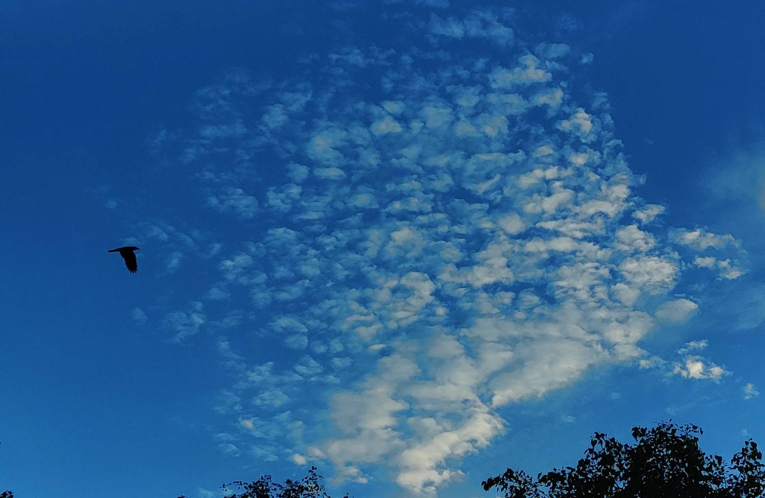 Photo #8805270
