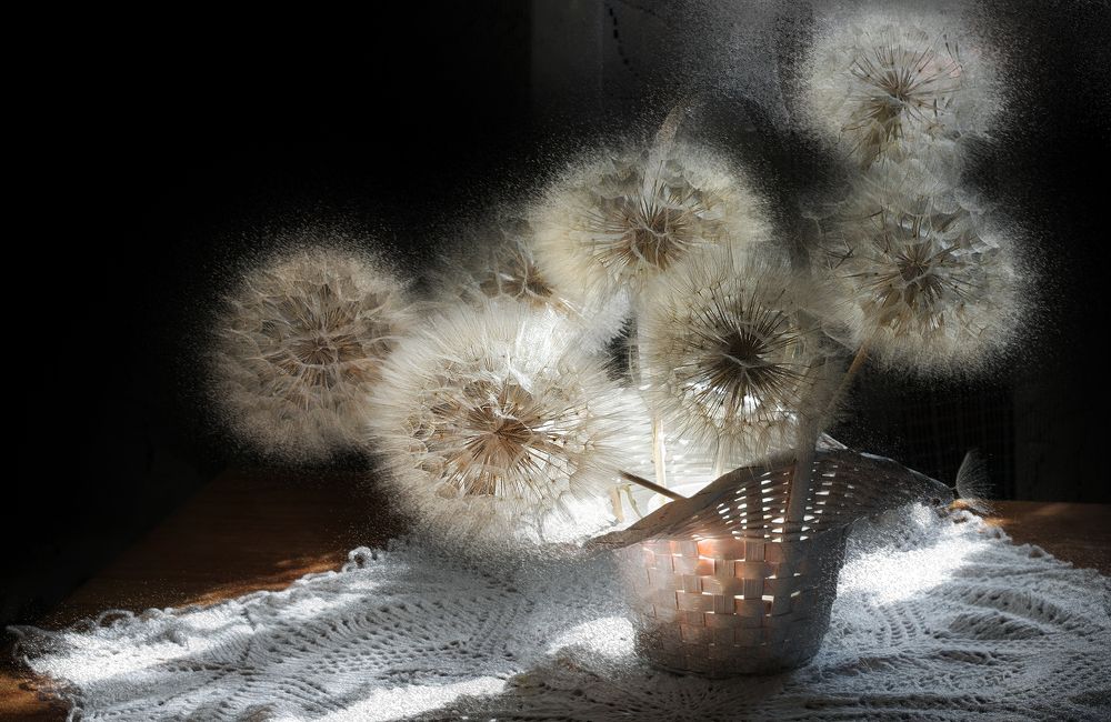 Photograph by Ольга Заболотская