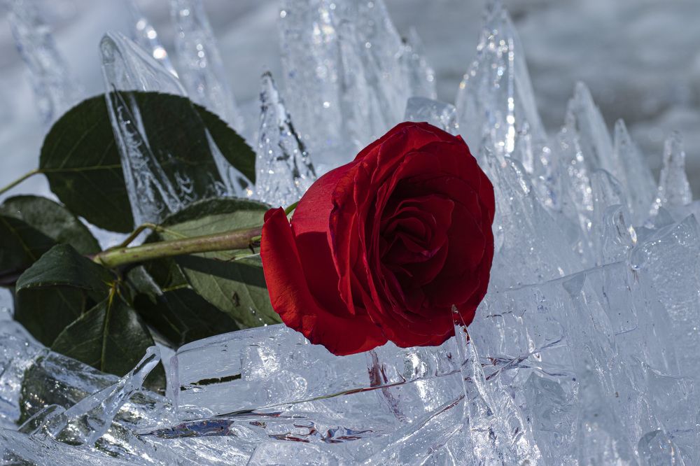 Photograph by Наталья Канарейкина