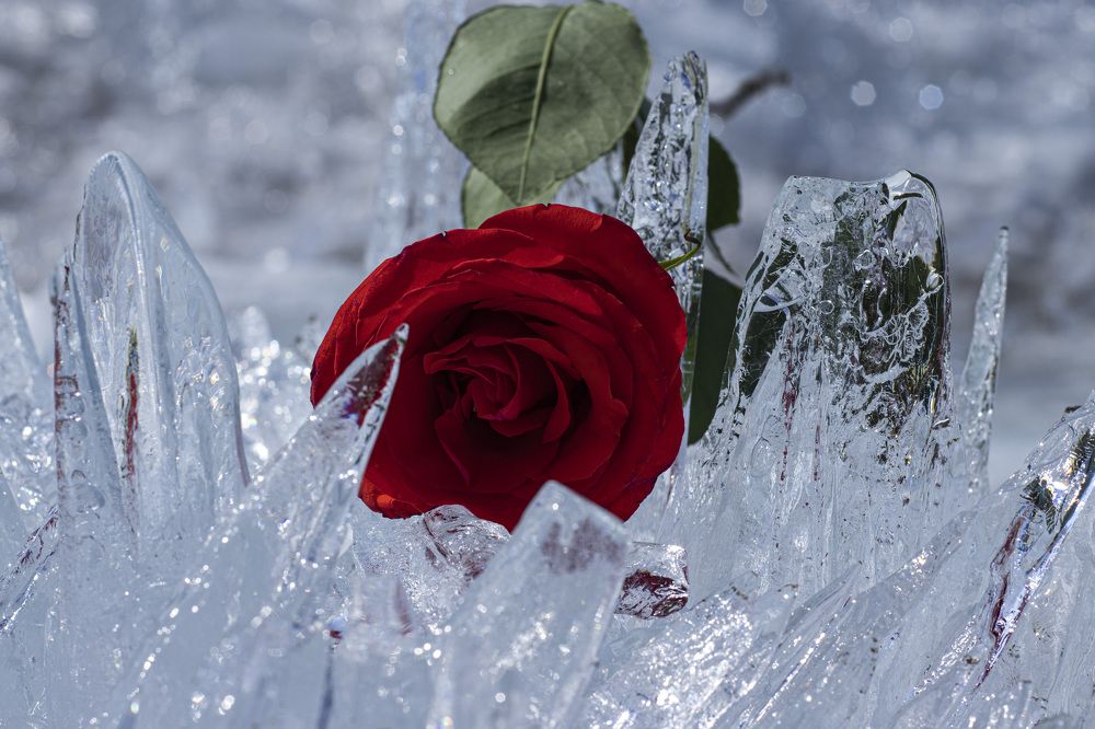 Photograph by Наталья Канарейкина