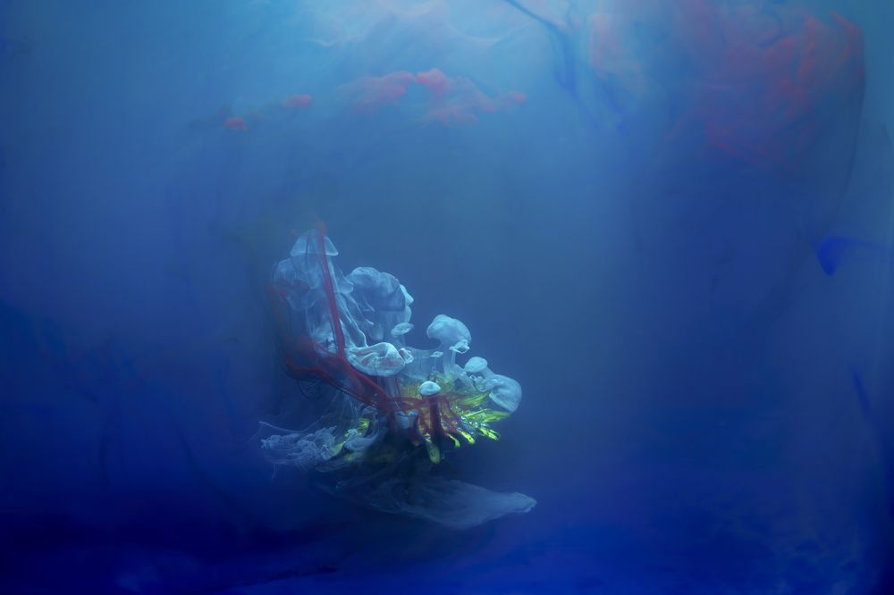 Photograph by Goroshkin