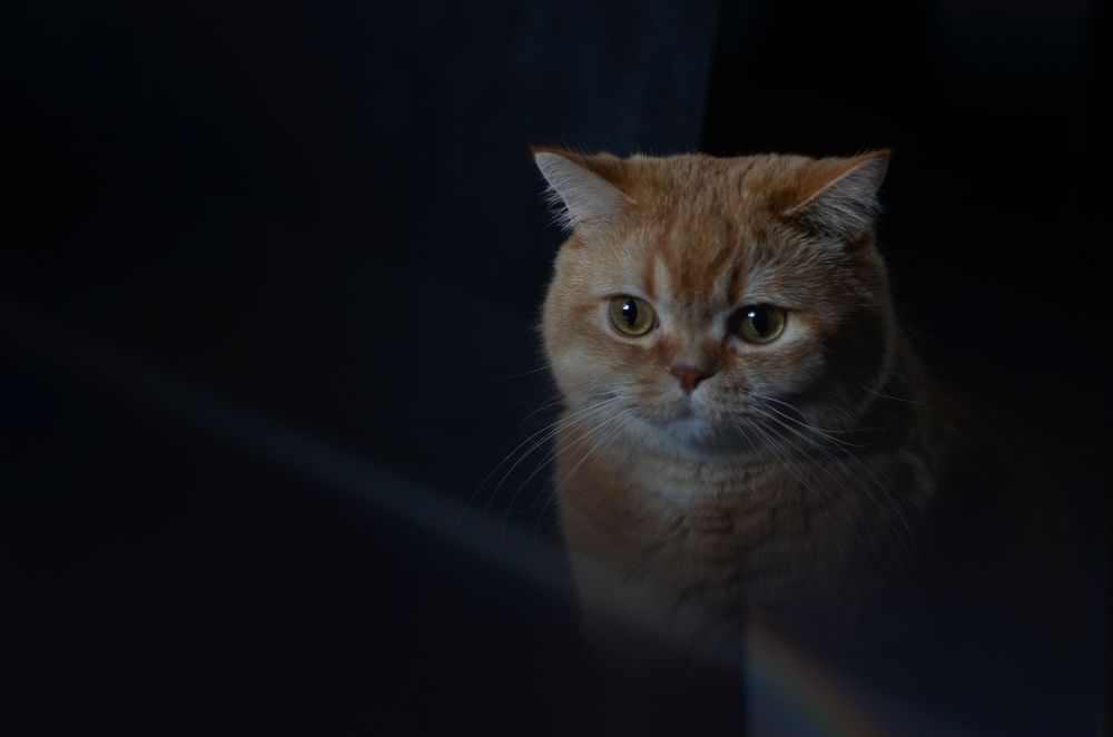 Photograph by Ирина Хламова