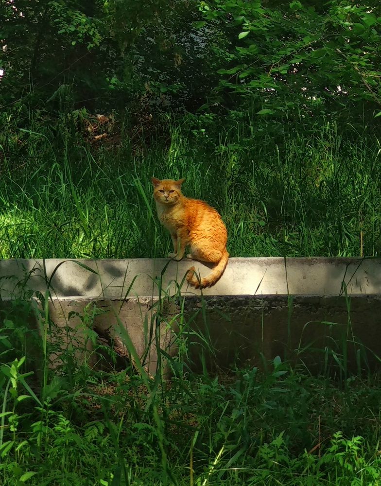 Photograph by Орынбек Асилбаев