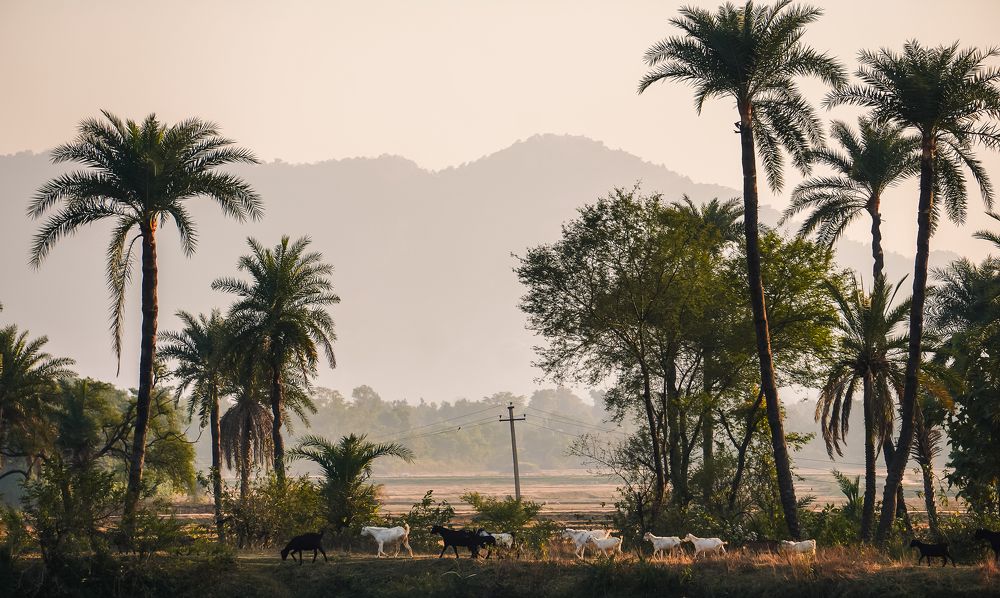 Indian Village Landscapes