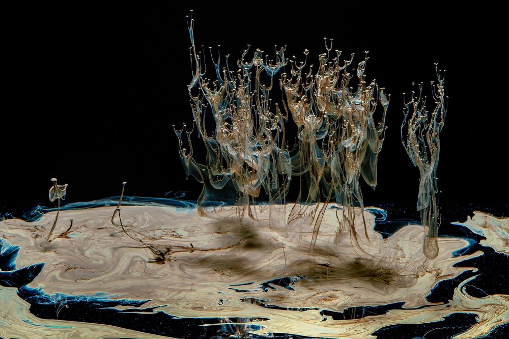 Photograph by Goroshkin