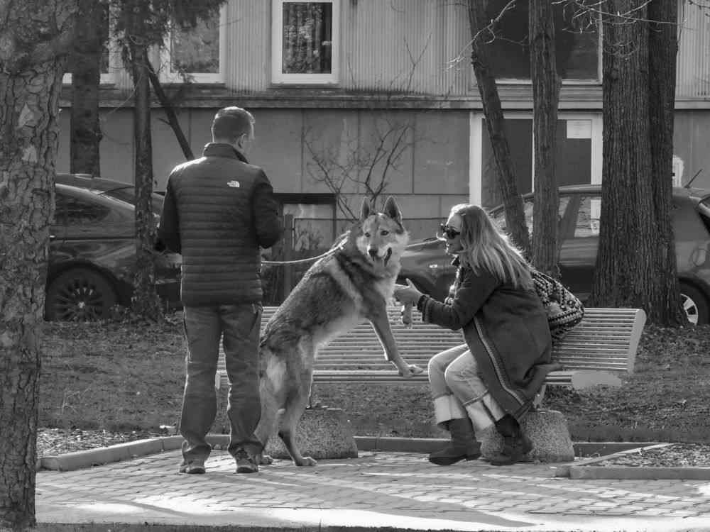 Photograph by George Catalin Serbu