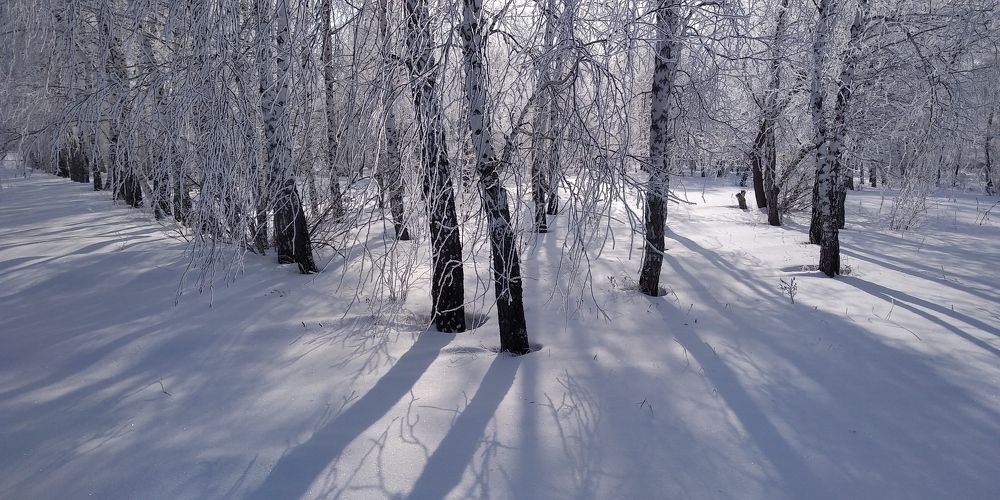 Photograph by Людмила Фризен