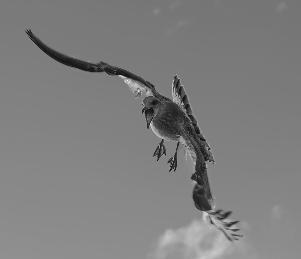 Фотография автора Рохмистрова Мария