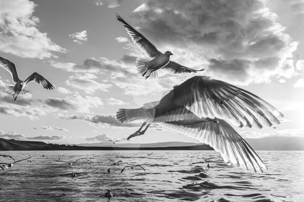 Фотография автора Рохмистрова Мария