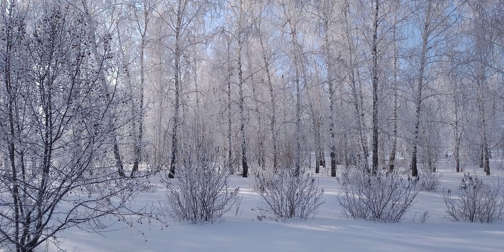 Photograph by Людмила Фризен