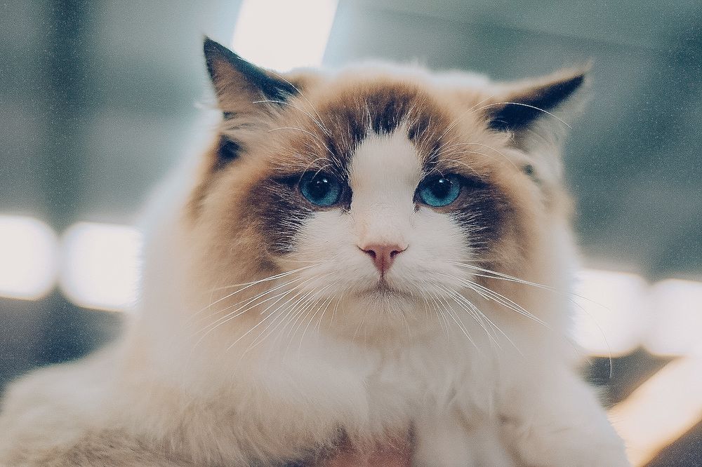 Photograph by Алеся Гокова