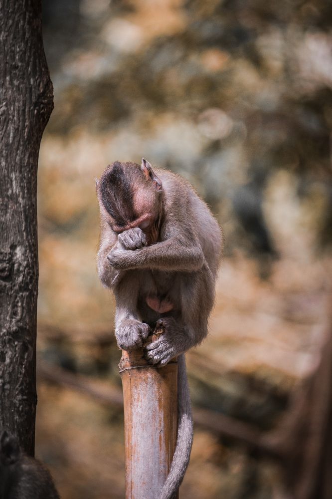 Photograph by TRUNG NGHIA NGUYEN