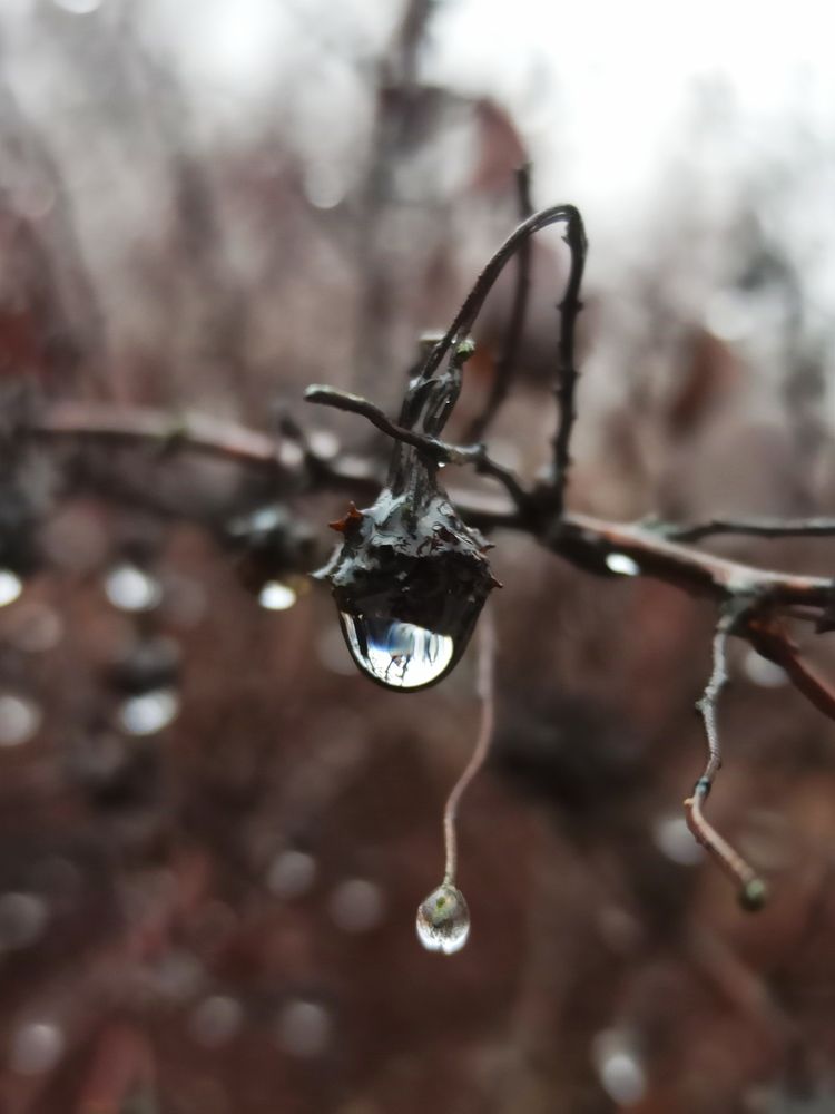 Photograph by Людмила Щуцкая