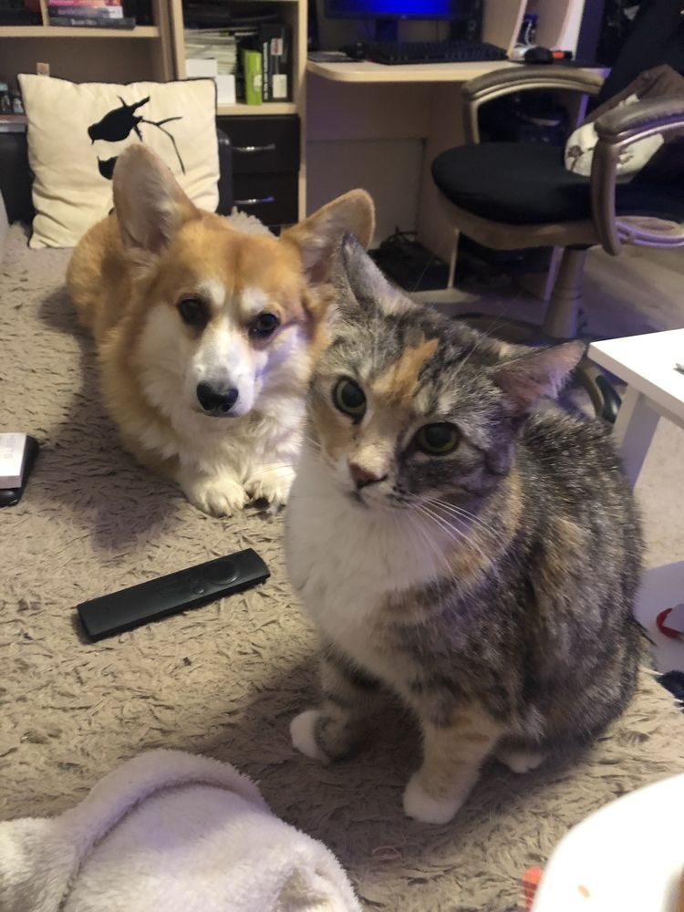 Photograph by Алексей Малеев