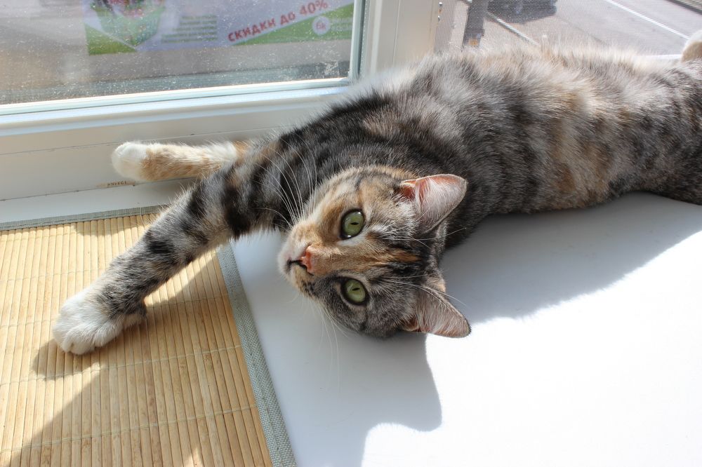 Photograph by Алексей Малеев