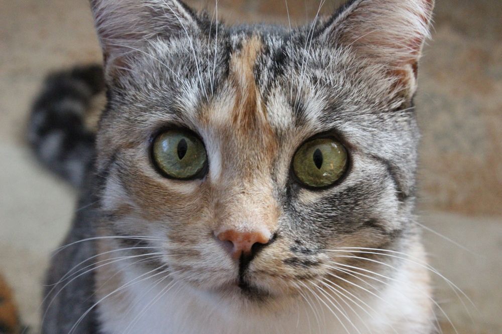 Photograph by Алексей Малеев